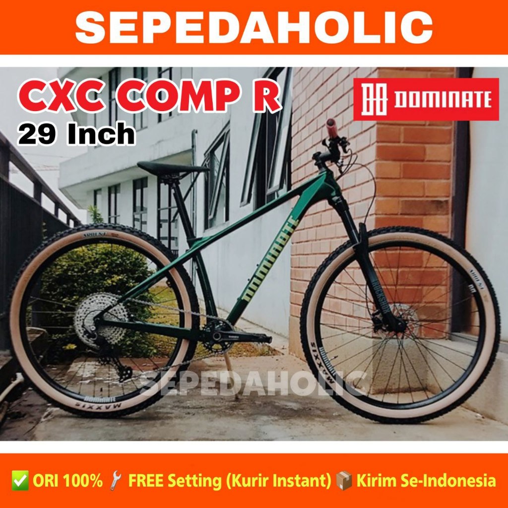 Sepeda Gunung MTB DOMINATE CXC COMP R Ukuran 29 Inch Carbon 12 Speed Rem Hidrolik
