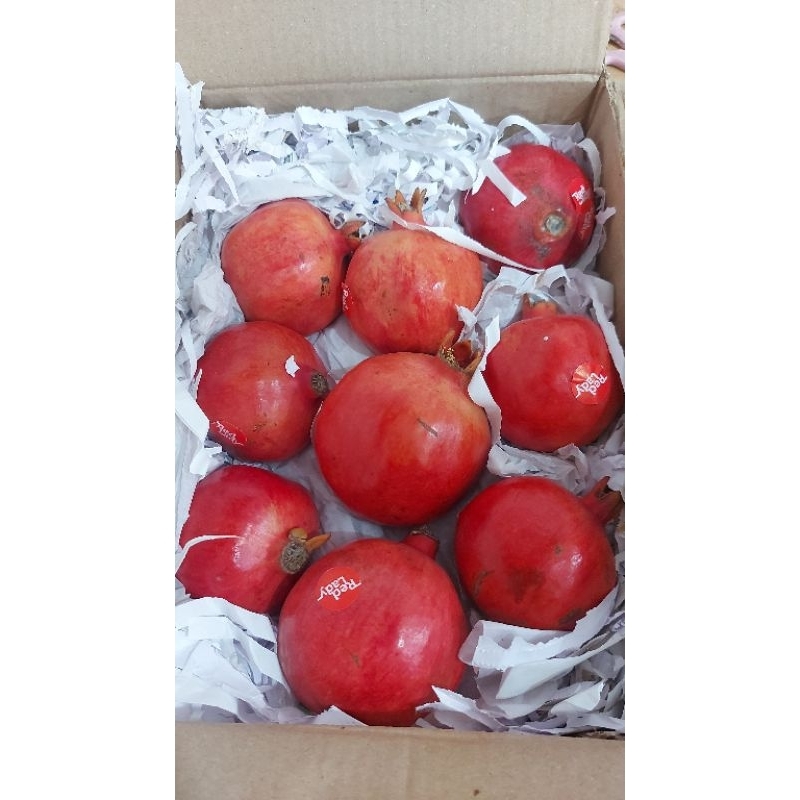 

Delima India - per 1 buah |manis|renyah|buah segar