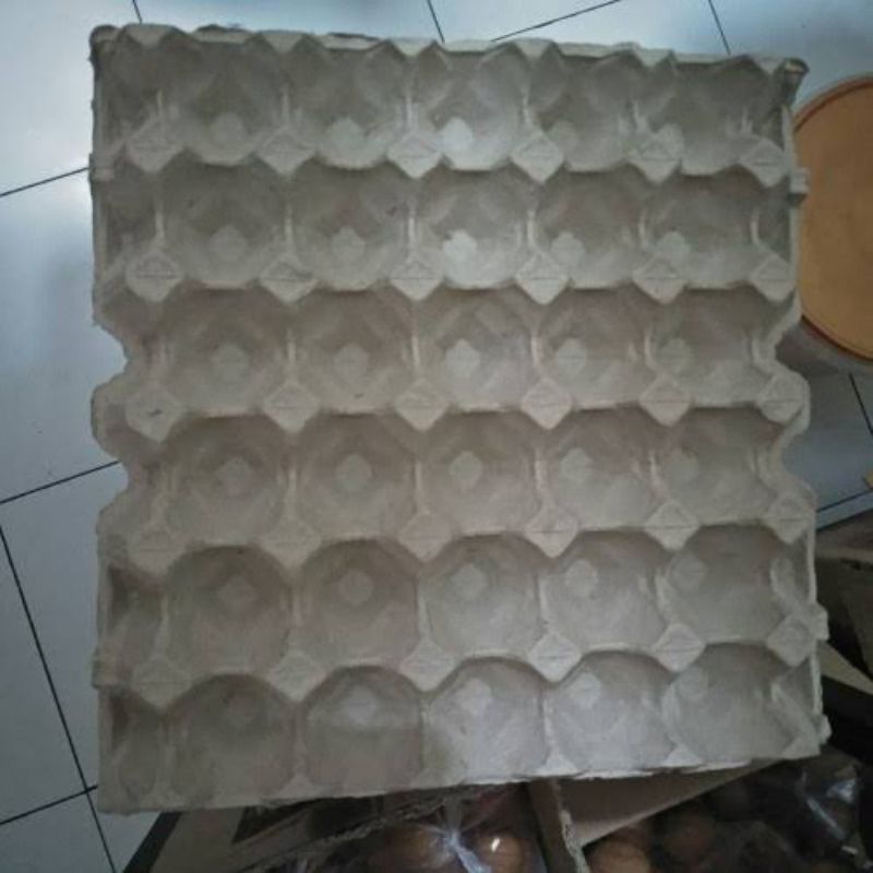 Tray telur / egg tray telur / tempat telur ( bekas tapi layak pakai )