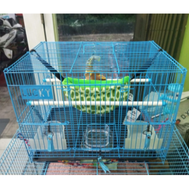 ADEWAP GLIDER Paket Kandang Small Plus Lengkap