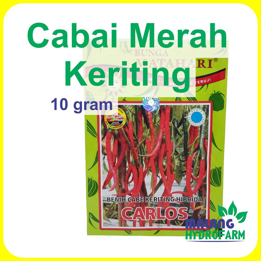 Benih Cabai Merah Keriting Carlos 10 gram Cap Bunga Matahari dataran rendah menengah bibit biji sayu