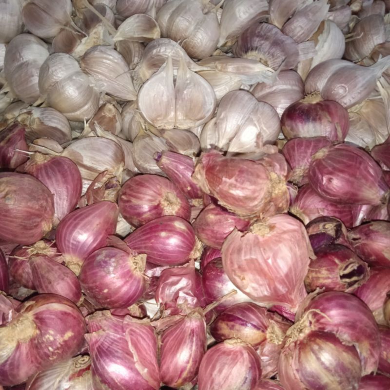 

bawang putih kating IMPORT dan bawang merah / brambang 1 kg