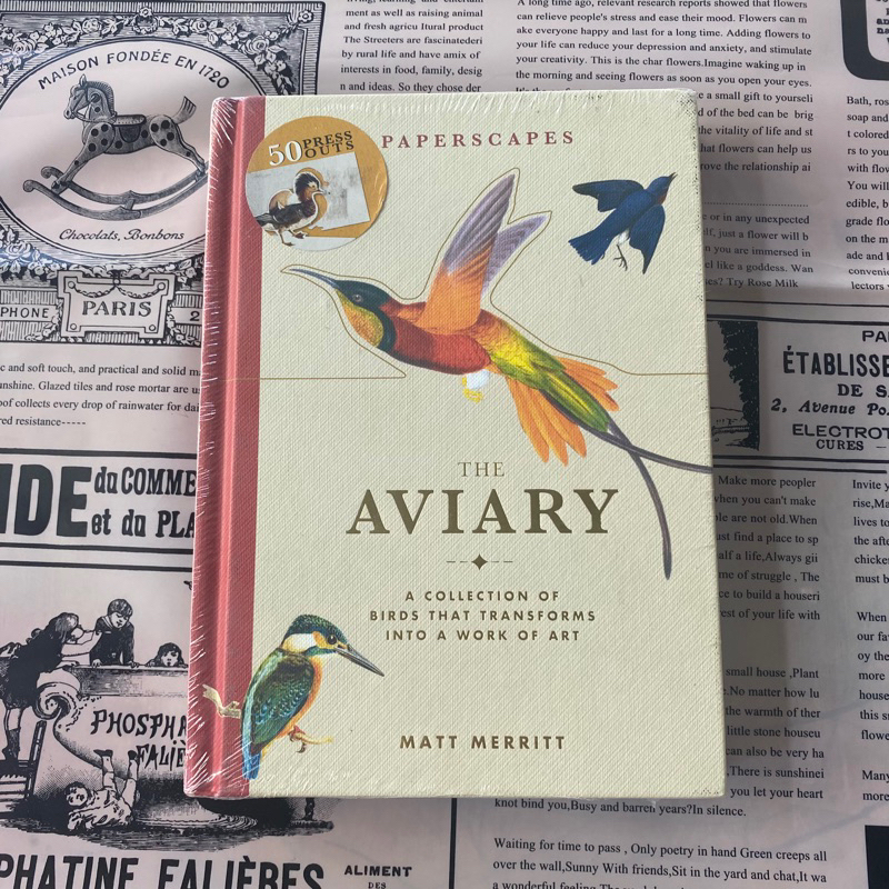 Paperscapes: The Aviary by Matt Merritt Buku BBW Big Bad Wolf Books