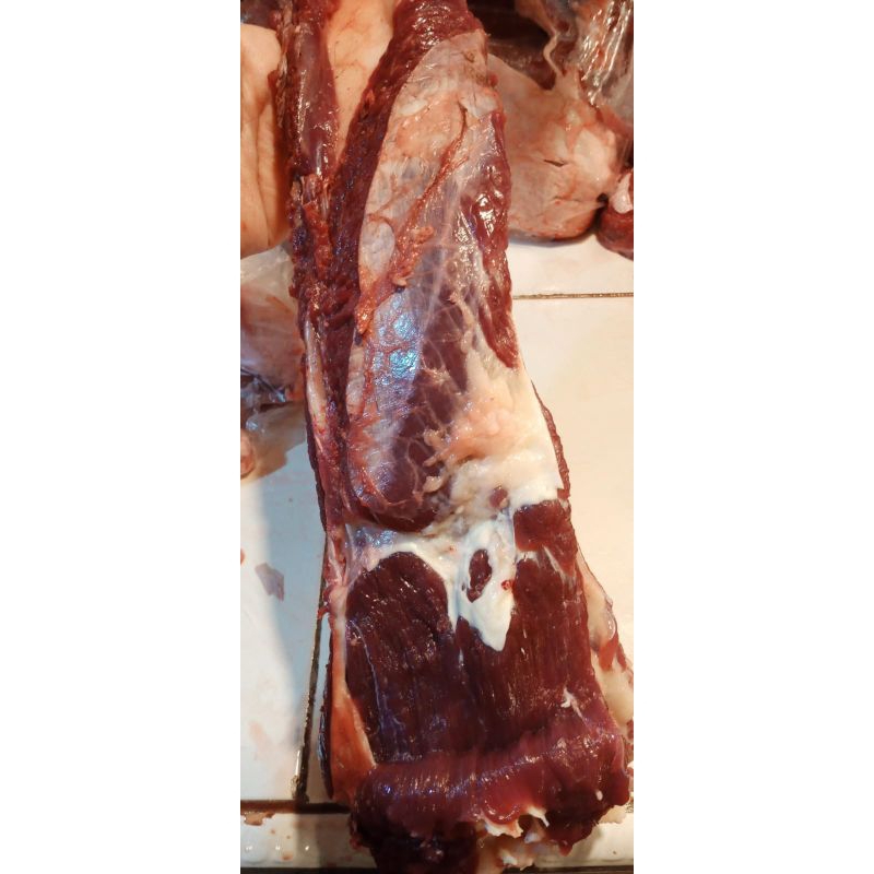 

Tulang iga sapi segar lokal halal 1kg