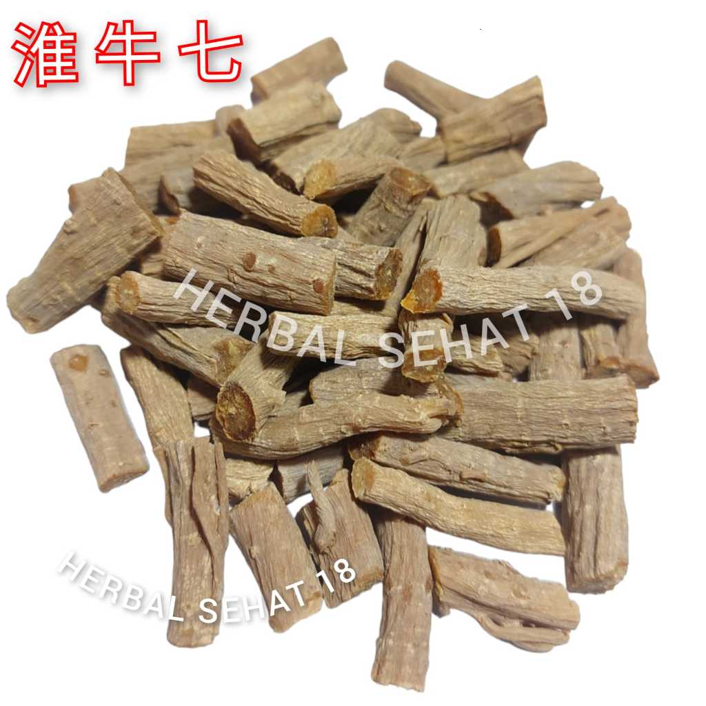 

600 gram - Huai Niu Xi 懷牛膝 Huai Niu Qi 淮牛七 Radix Achyranthis Bidentatae