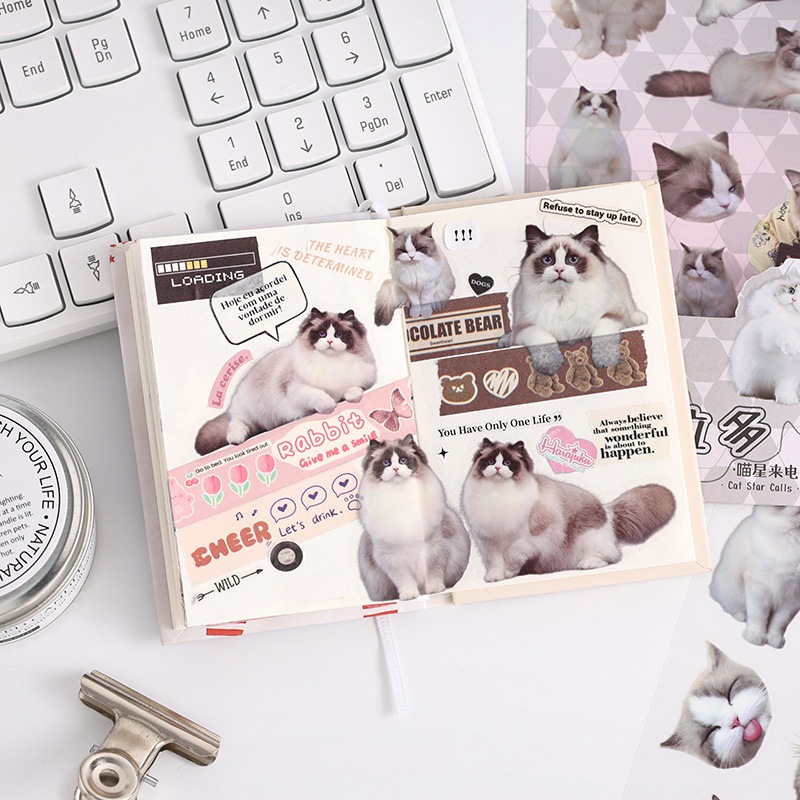 

Stiker Kucing DIY Casing HP Cat Sticker Decor Stiker Bening Dekor Buku Diary YZ002