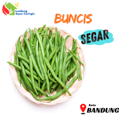 

Buncis Segar Murah Bandung