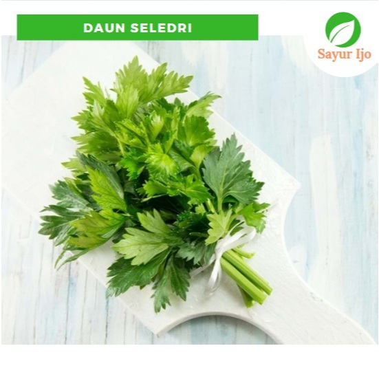 

Daun Seledri -/+ 240 - 250 Gram Fresh Celery Leaves Sayur Hijau Segar