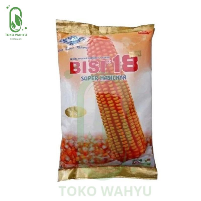 BENIH JAGUNG BISI 18