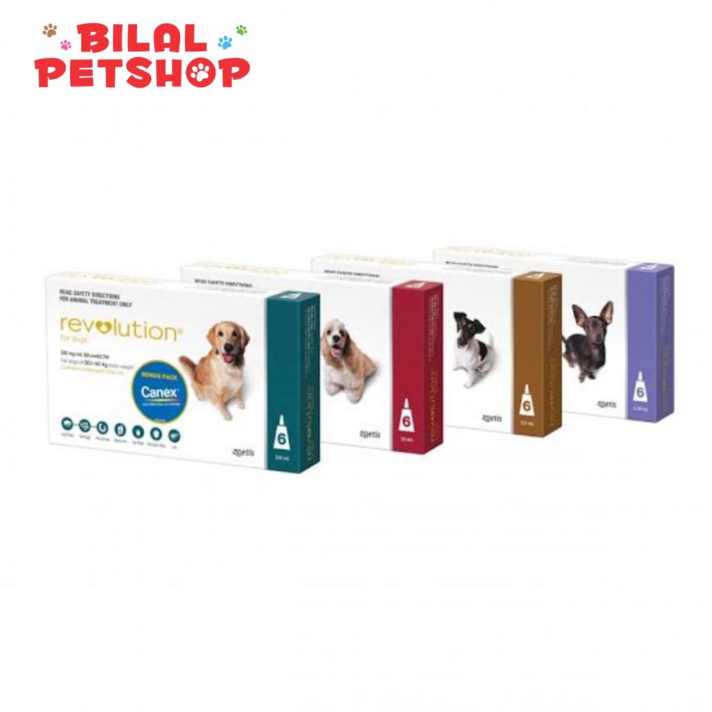 REVOLUTION OBAT KUTU / REVOLUTION DOG / REVOLUTION KITTEN BROWN RED TEAL MAUVE