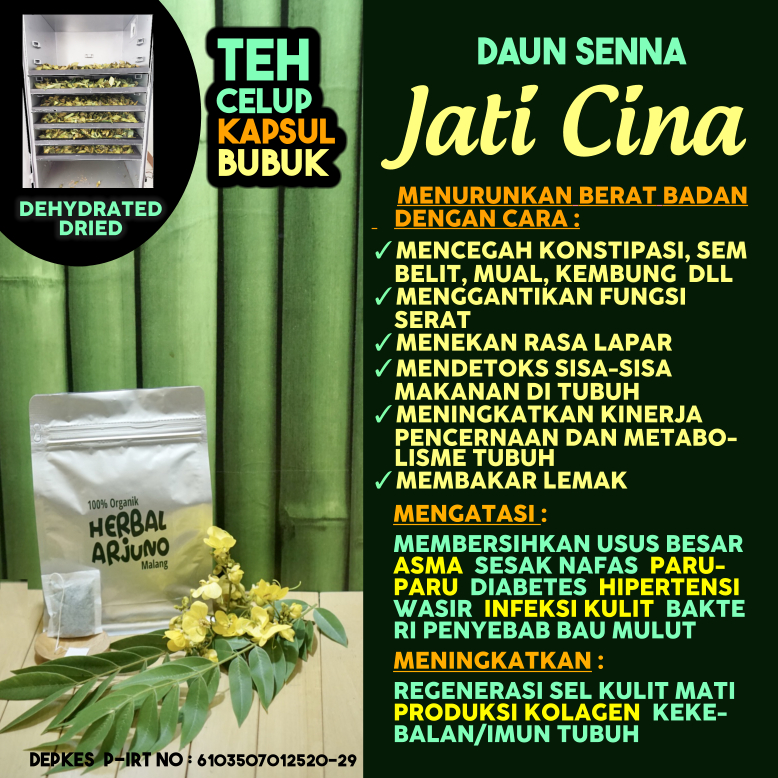 

Dehydrated Dried Teh Celup Kapsul & Bubuk Daun Jati Cina Sena Tiongkok Obat Pelangsing Asma Sesak Nafas Paru-Paru Bau Mulut Diabetes Hipertensi Asam Urat Wasir DLL Herbal Alamii