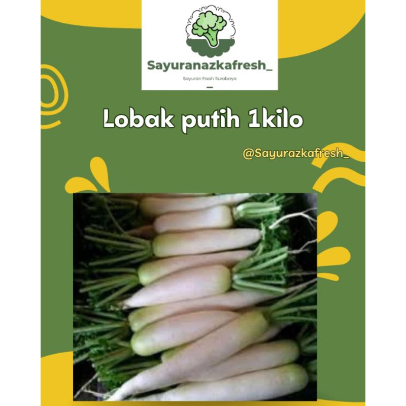 

Lobak Putih [±1Kg]