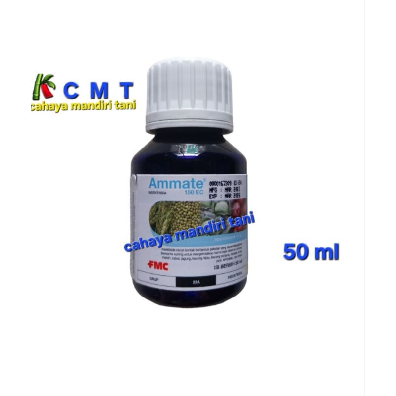 AMMATE 50ML