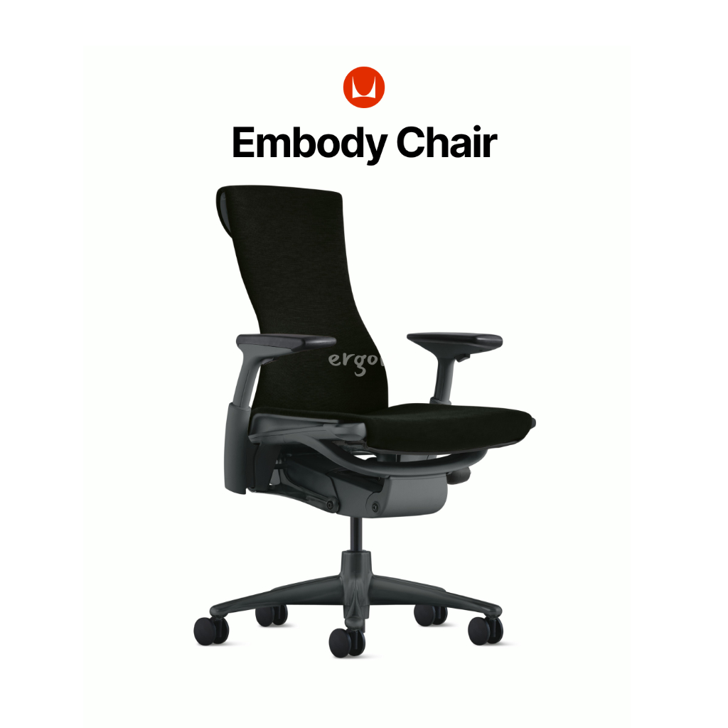 Herman Miller Embody Office Chair