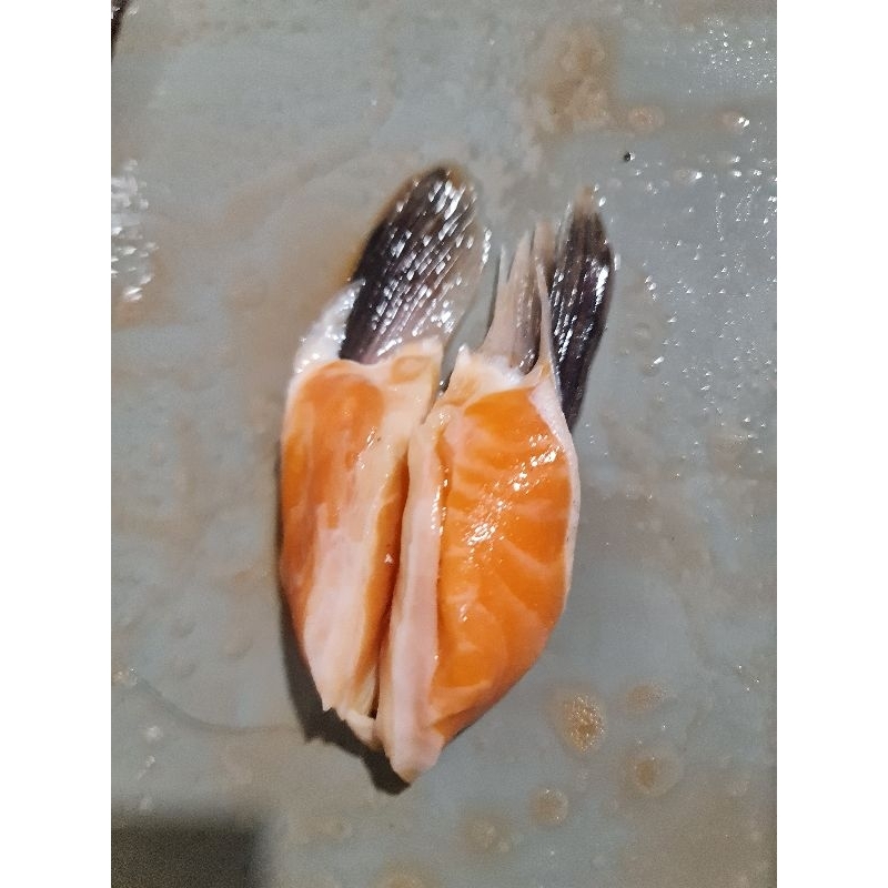 

[ SIRIP SALMON ] Salmon Find