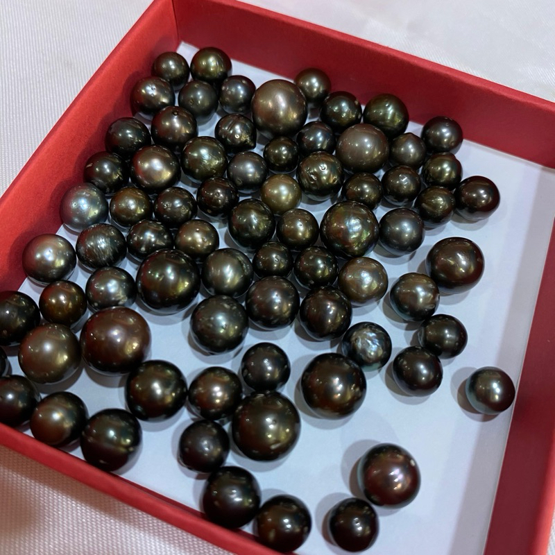 BUTIRAN MUTIARA LAUT HITAM GRADE A ||MUTIARA LAUT ASLI LOMBOK BERSERTIFIKAT