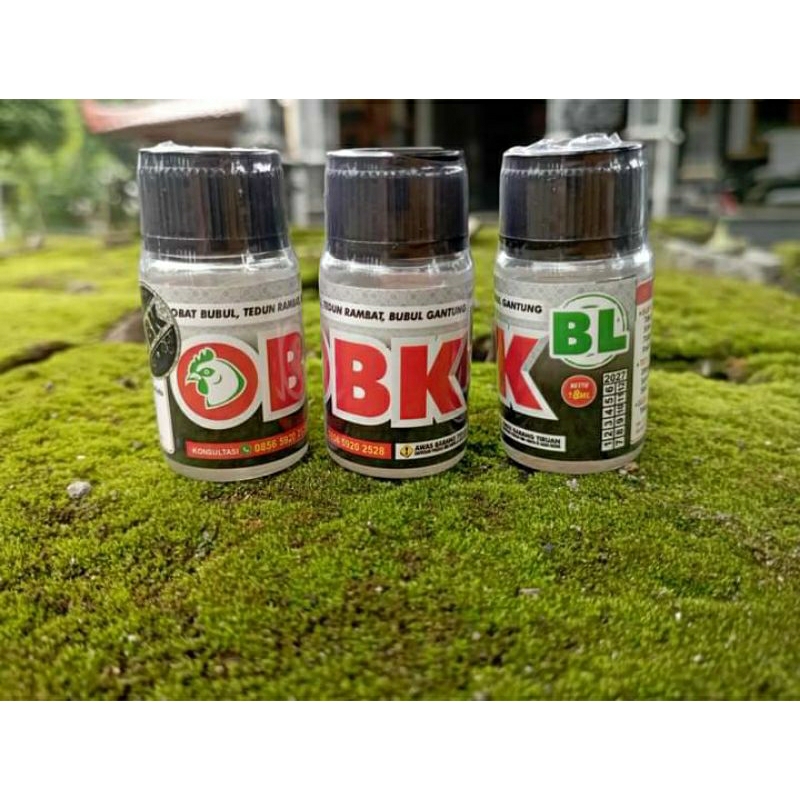 OBK obat bubul tedun rambat bubul gantung ayam