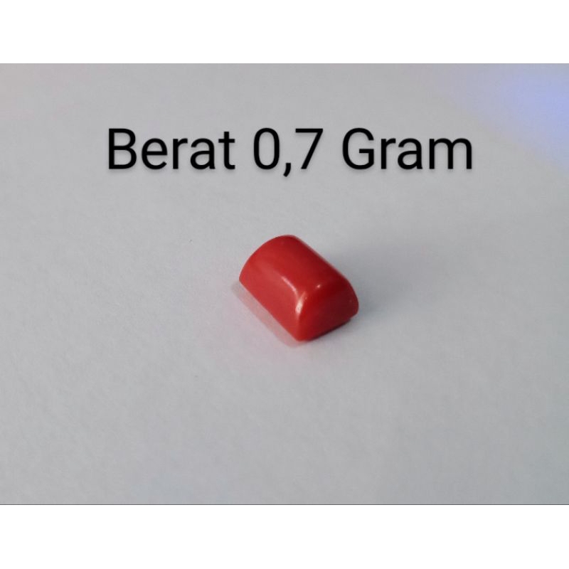 Marjan Tunisia ( Mediterania ) 0,7 Gram