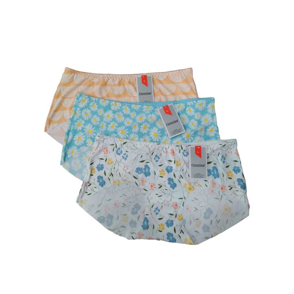 4PCS Glena by Christine Seamless Panty  - CD Anti Jiplak (size M)