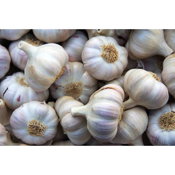 

Bawang Putih 250 Gram (Jogja dan Sekitarnya)