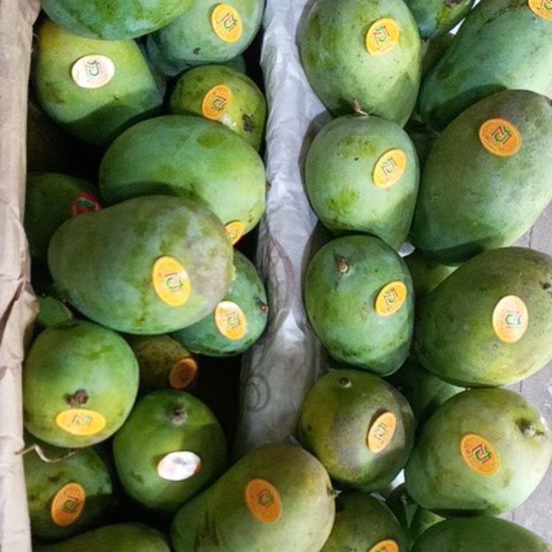 

Mangga Harum Manis (500gram)