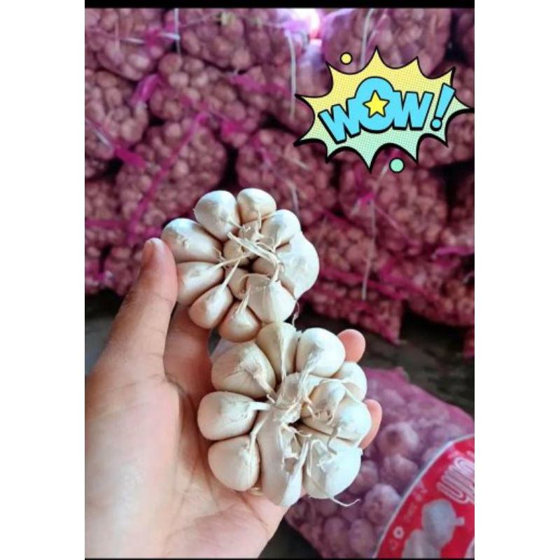 

bawang putih murah 1kg