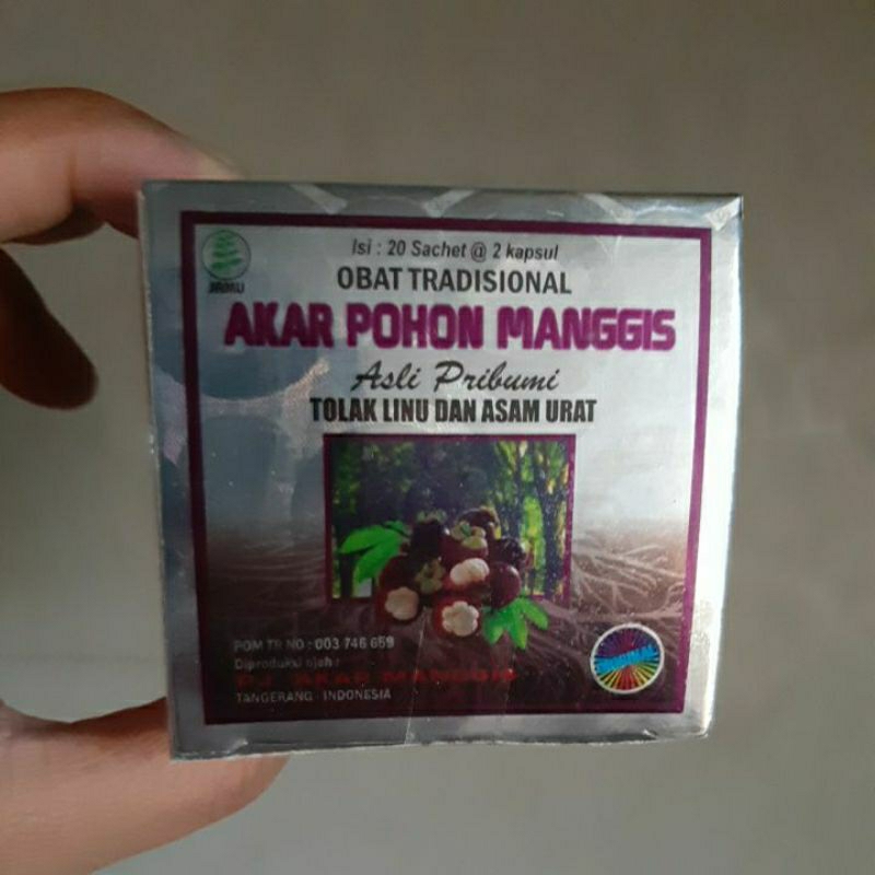 AKAR POHON MANGGIS ASLI PRIBUMI