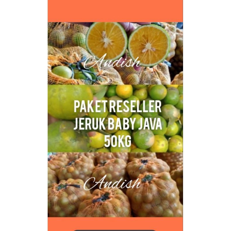 

Ready Stock-Paket Jeruk Baby Java Fresh 50 Kg