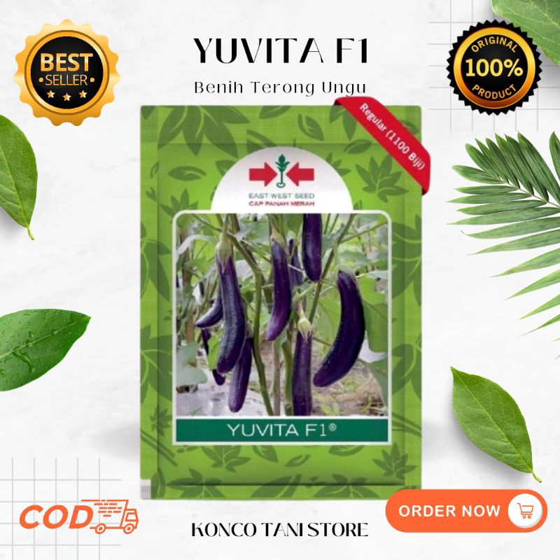 BENIH TERONG UNGU YUVITA 1100 BUTIR