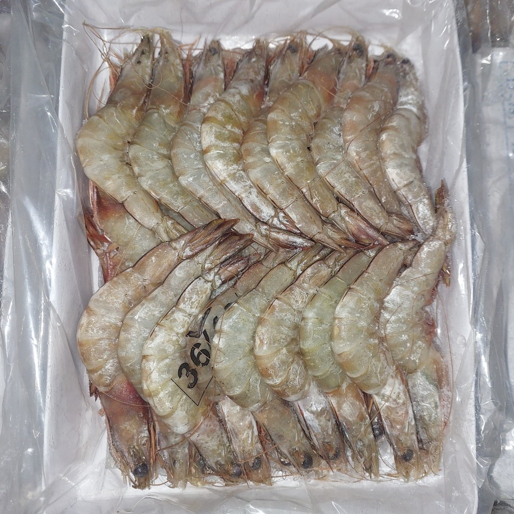 

UDANG JERBUNG SEGAR 1000-500GR SIZE BESAR FRESH FROZEN