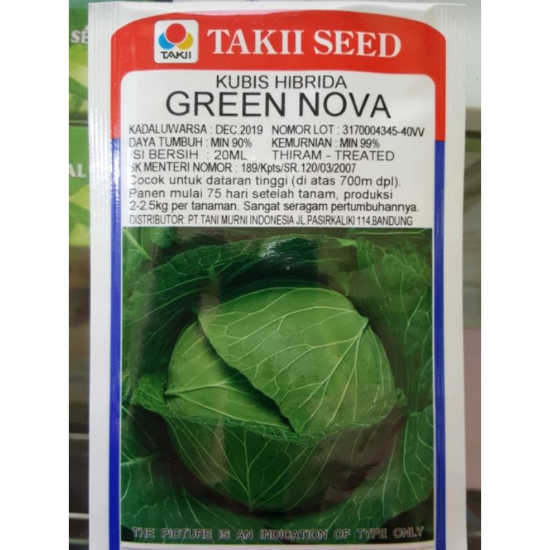 Benih Kubis "Green Nova F1"
