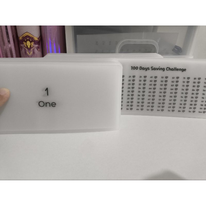 

100 Envelope Challenge Envelope Only