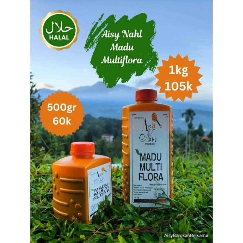 

AISY NAHL Madu Multiflora 1 Kg