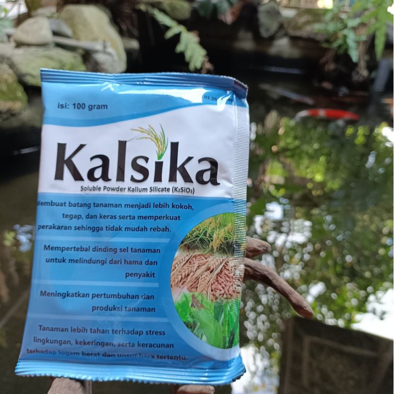 kalium silika kalsika soluble powder