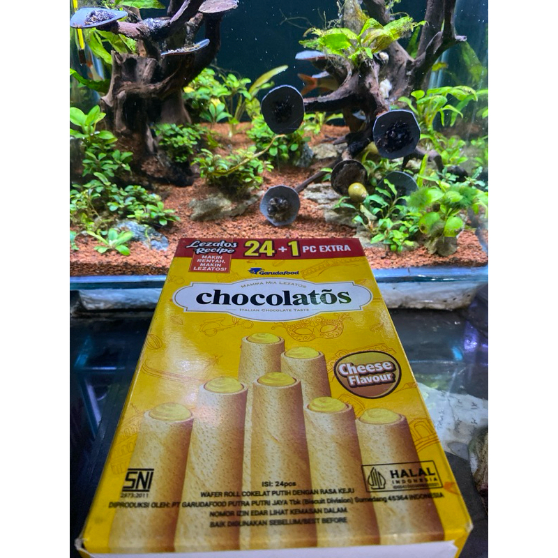 

chocolatos(chese)