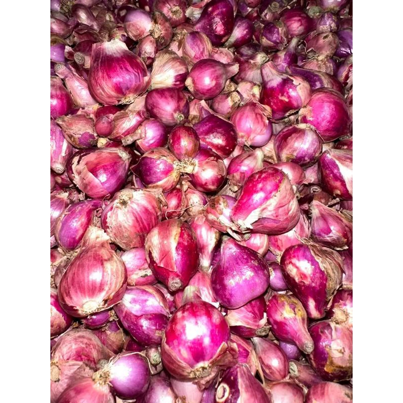 

BAWANG MERAH KERING PROBOLINGGO 500gr & 1000gr TANGGUNG BESAR