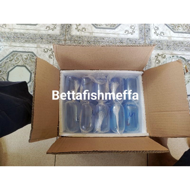 

Packing box kardus acc live TOK