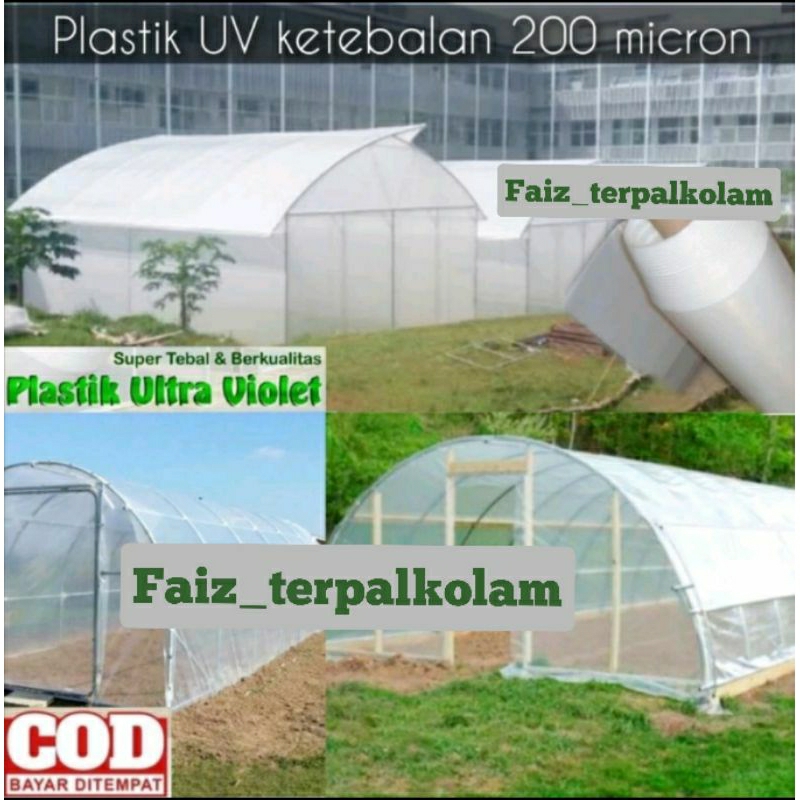 PLASTIK UV LEBAR 4 METER KETEBALAN 200 MICRON BISA BUAT TERPAL KOLAM IKAN