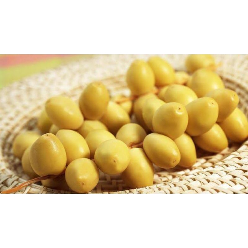 

Kurma Muda Promil 500 gr