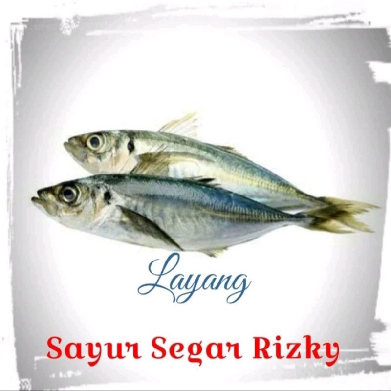 

Ikan Layang Segar 500gr