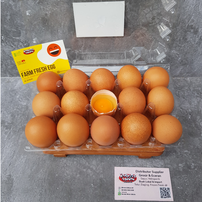 

HarvestMoon Telur Merah Omega