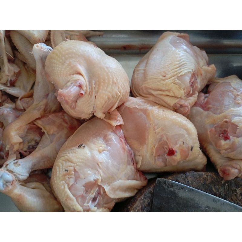 

AYAM POTONG SEGAR 1 kg