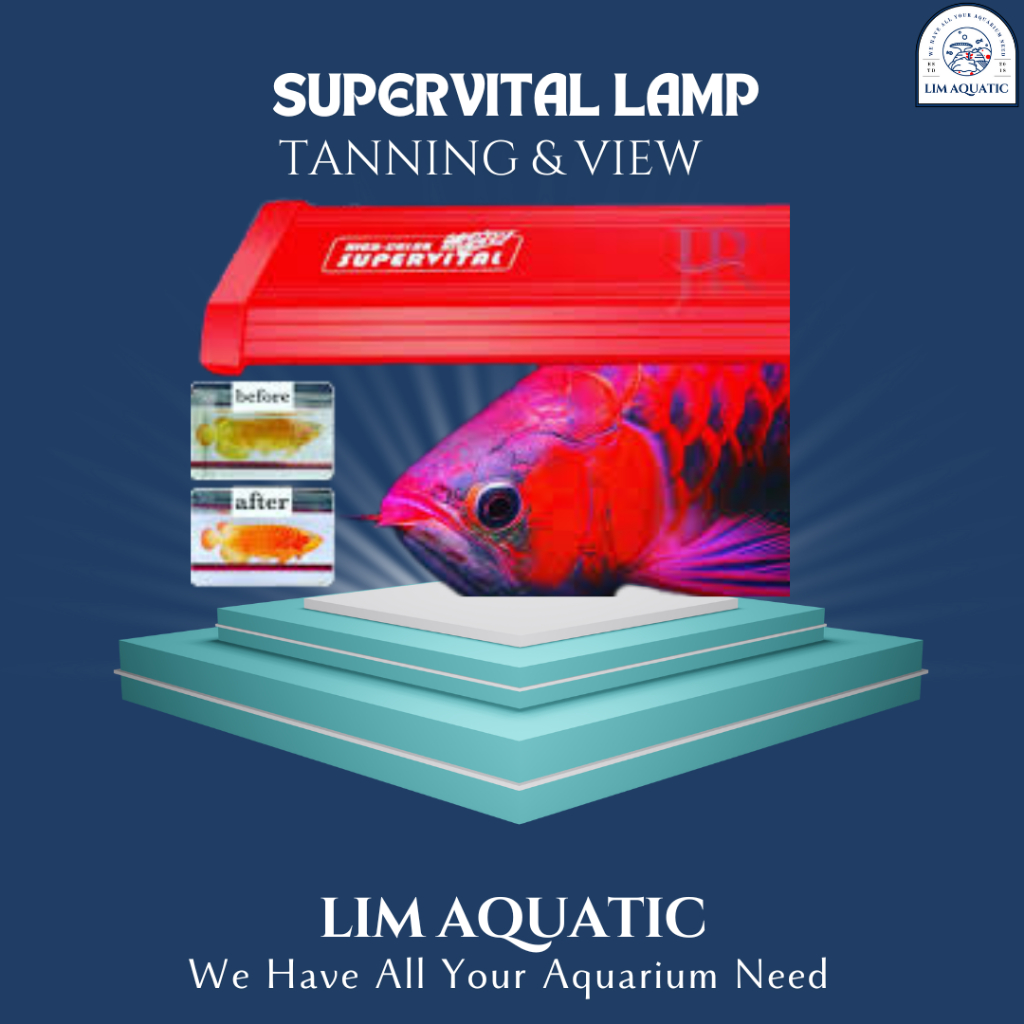 LAMPU TANNING SUPERVITAL / SUPERVITAL TANNING & VIEW LAMP