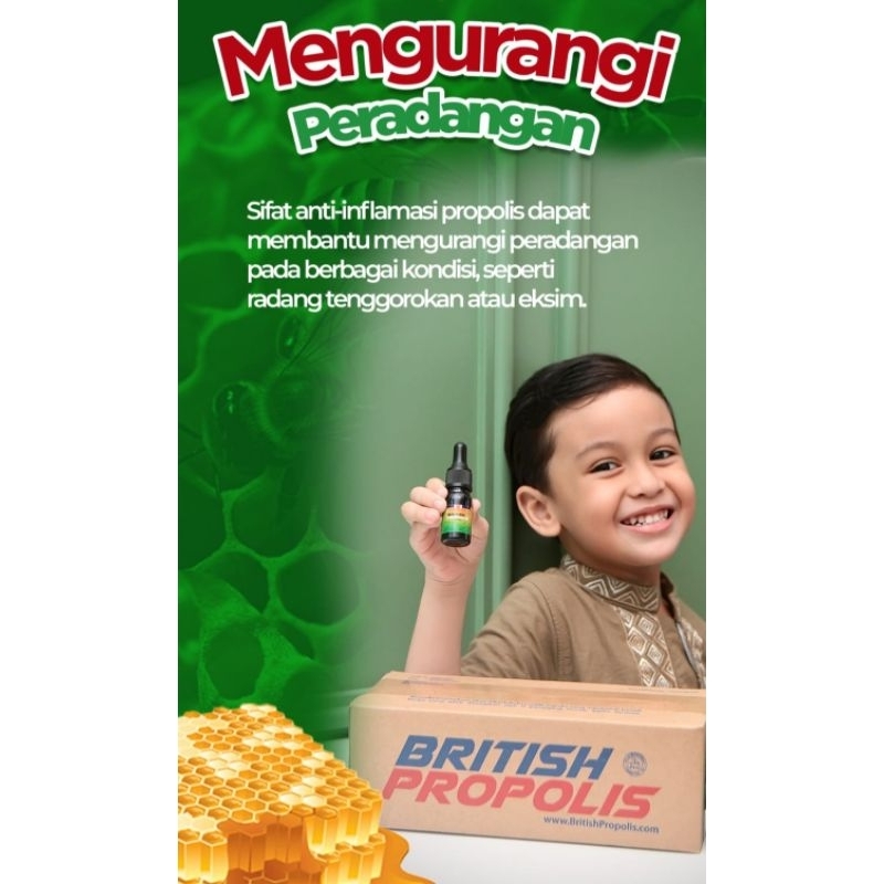 PROPOLIS premium | BP green | Brithis Propolis