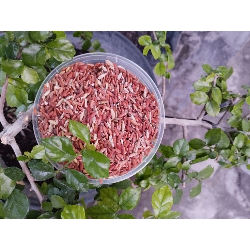

beras merah 1 kg