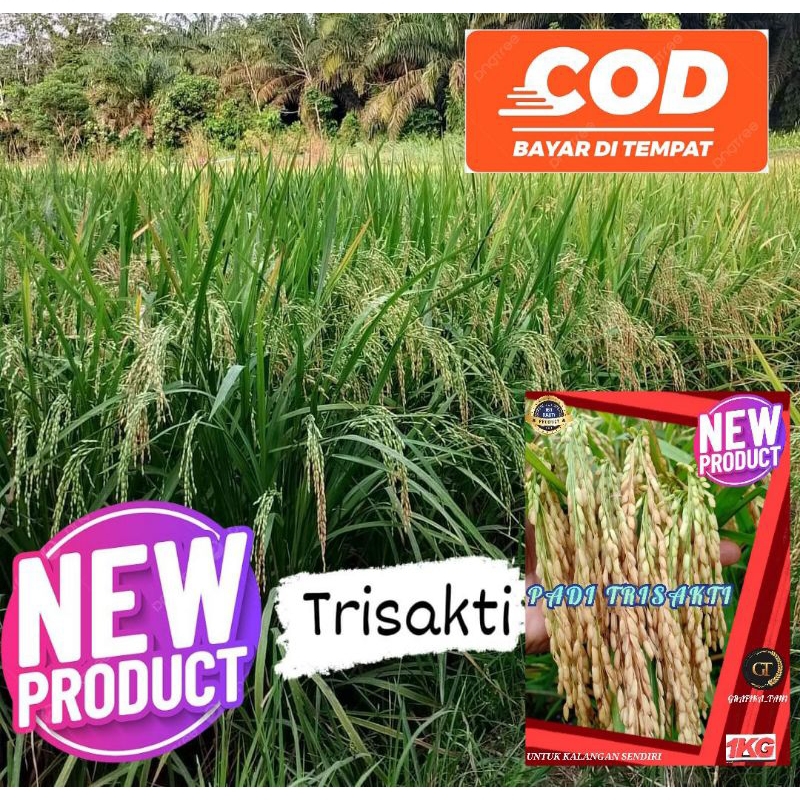 benih padi genjah trisakti kemasan 1kg