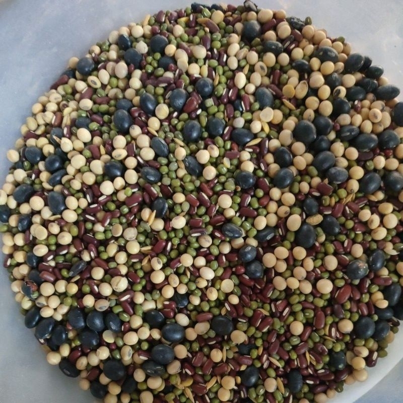 

go kok sembahyang/ biji- bijian buat sembahyang. 1 bks 100 gram.