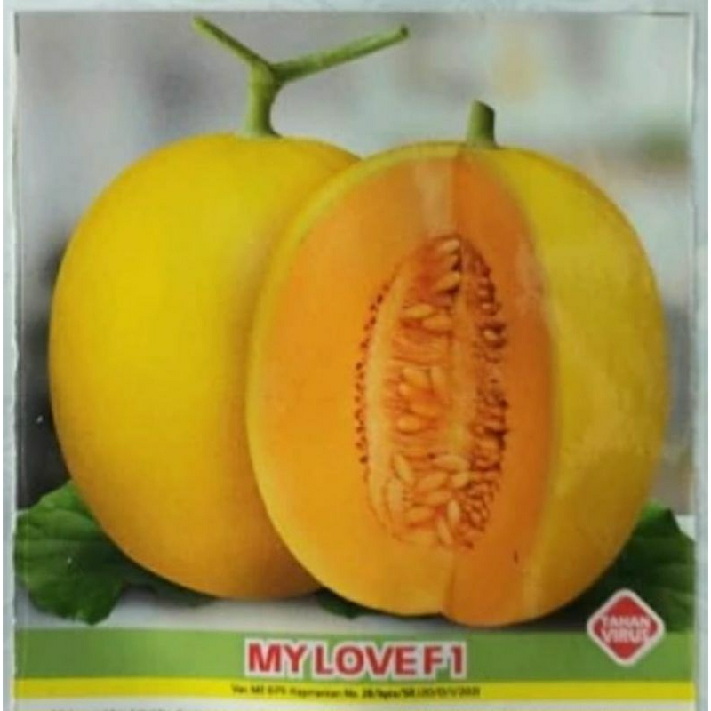 100 Benih Bibit Biji Melon GOLDEN MY LOVE F1, import ORI Hibrida Seeds Super Manis