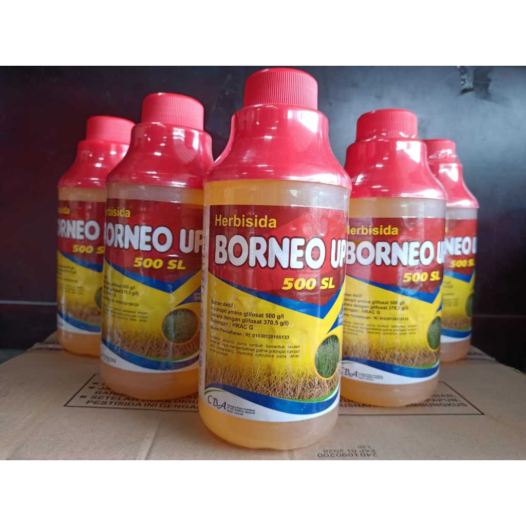 RACUN RUMPUT BORNEO UP 500SL 1L