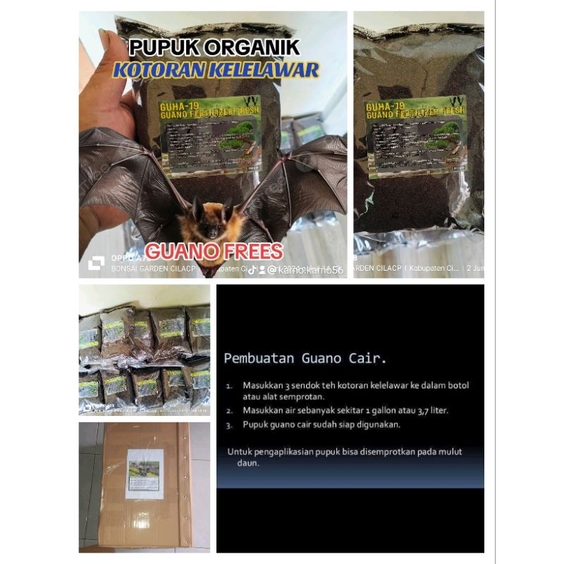 Guano